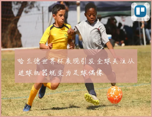 哈兰德世界杯表现引发全球关注从进球机器蜕变为足球偶像